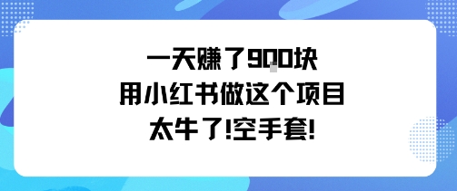 一天挣了9张用小红书做这个项目太牛了,空手套祝你网-副业赚钱-互联网创业-资源整合祝你网