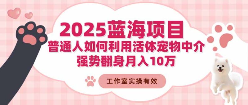 2025蓝海项目:普通人如何利用活体宠物中介,强势翻身月入10万祝你网-副业赚钱-互联网创业-资源整合祝你网
