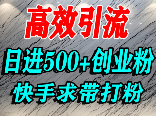 怎么打创业粉？快手求带视角精准引流创业粉，宝妈、学生群体日进500+精准流量祝你网-副业赚钱-互联网创业-资源整合祝你网