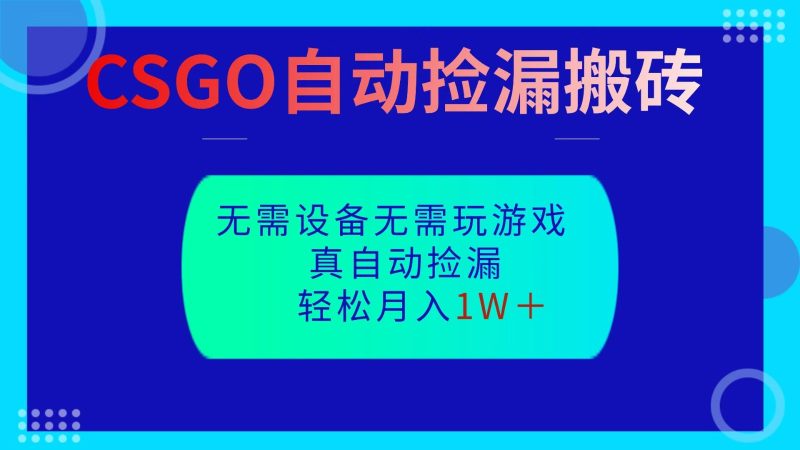 CSGO自动捡漏搬砖,当天操作当天见结果,无需了解游戏,包教包会包落地祝你网-副业赚钱-互联网创业-资源整合祝你网