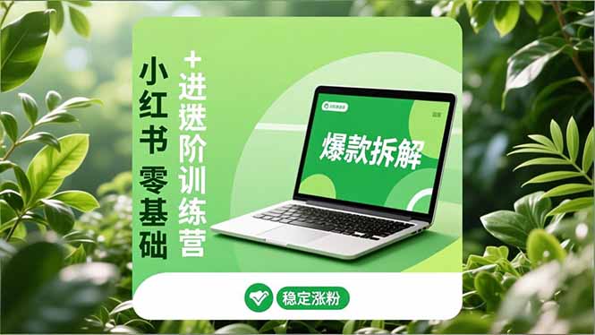 小红书零基础+高阶训练营:安全养号、爆款拆解、长效运营,实现稳定涨粉与变现祝你网-副业赚钱-互联网创业-资源整合祝你网