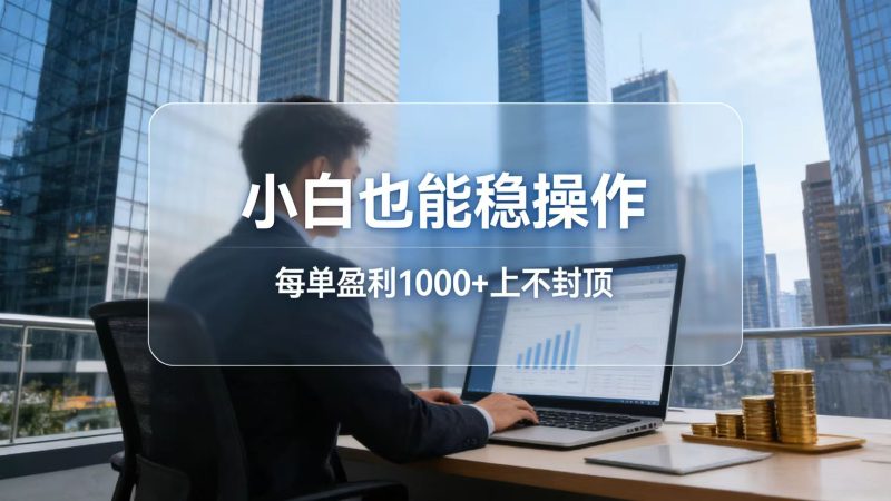 2026新项目，小白也能稳操作，每单盈利1000+上不封顶祝你网-副业赚钱-互联网创业-资源整合祝你网