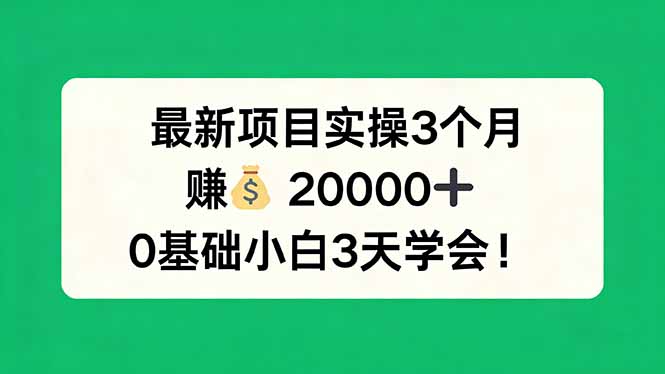 最新项目实操3个月，赚钱20000+，0基础小白3天学会！祝你网-副业赚钱-互联网创业-资源整合祝你网