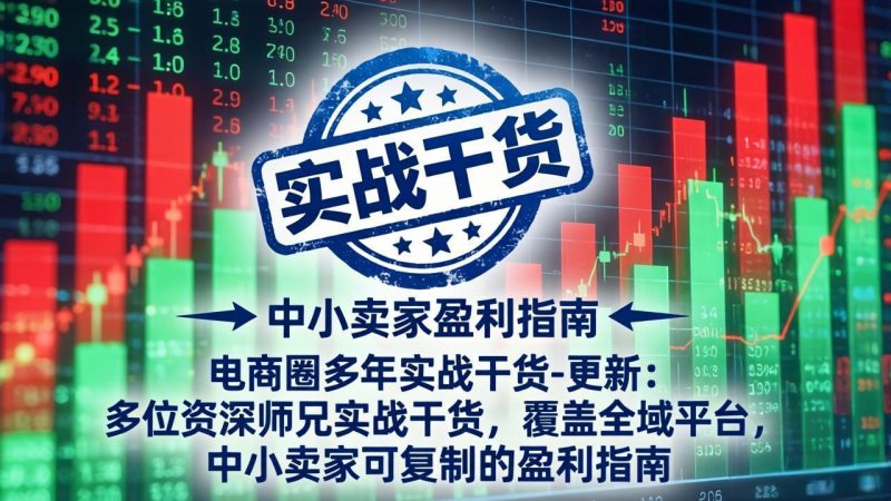 电商圈多年实战干货-更新4月：多位资深师兄实战干货，覆盖全域平台，中小卖家可复制的盈利指南祝你网-副业赚钱-互联网创业-资源整合祝你网