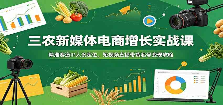 三农新媒体电商增长实战课：精准赛道IP人设定位，短视频直播带货起号变现攻略祝你网--专注互联网创业.信息差副业研究拒绝割韭菜祝你网
