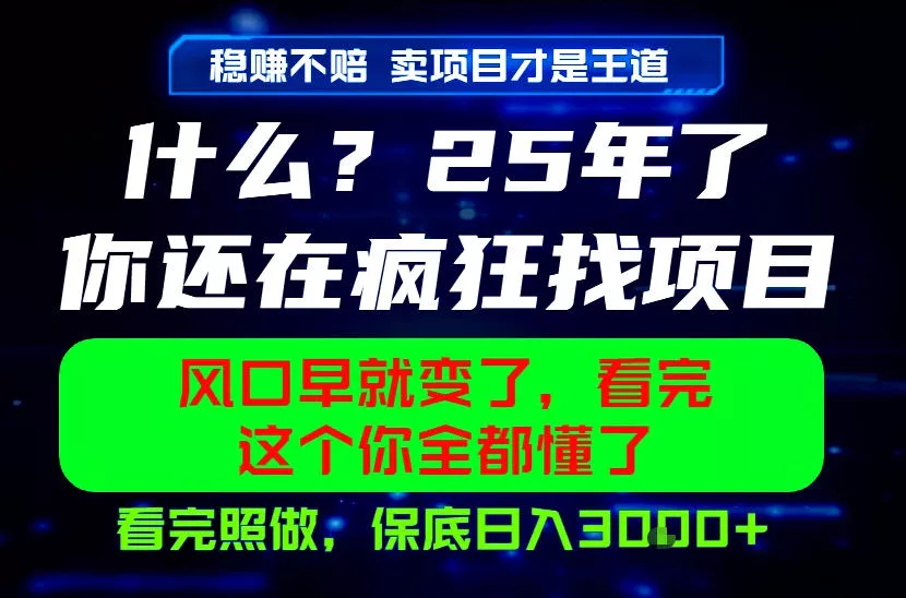 26年,请不要疯狂的找项目做了!卖项目才是真的稳賺不赔,看完照做,保底日入1k+【揭秘】祝你网--专注互联网创业.信息差副业研究拒绝割韭菜祝你网