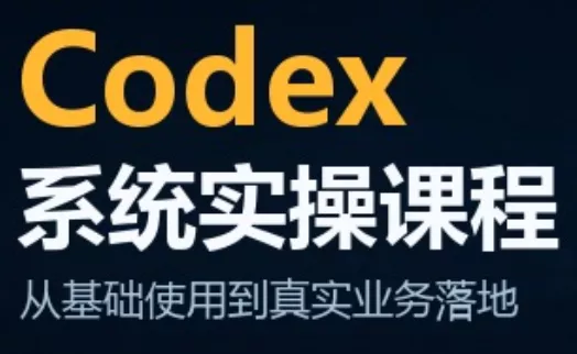 codex系统实操课程(更新10月)祝你网--专注互联网创业.信息差副业研究拒绝割韭菜祝你网