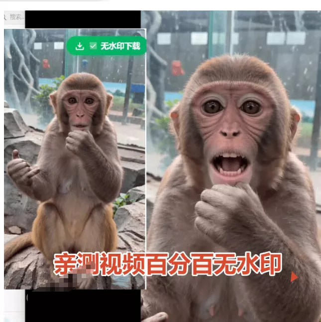 19f2936ebb8d9115d4126c7ed5320b61.webp 豆包无水印下载终于来了!支持豆包图片/视频,目前唯一免费使用的插件,浏览器拓展