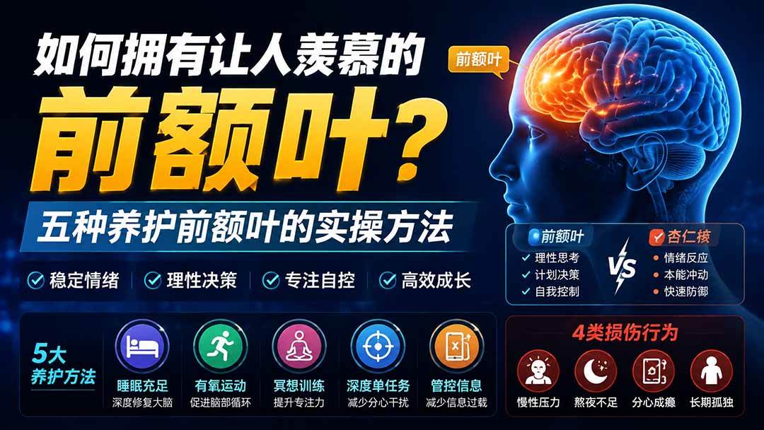 (19805期)付费文章:如何拥有让人羡慕的前额叶?五种养护前额叶的实操方法祝你网--专注互联网创业.信息差副业研究拒绝割韭菜祝你网