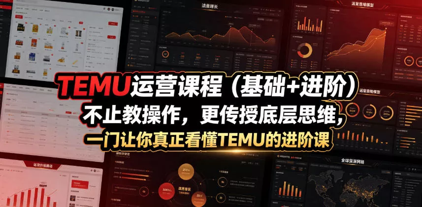 TEMU运营课程(基础+进阶)，不止教操作，更传授底层思维，一门让你真正看懂TEMU的进阶课祝你网--专注互联网创业.信息差副业研究拒绝割韭菜祝你网