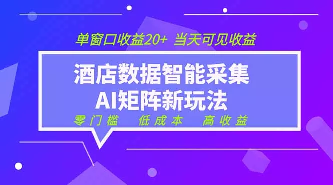 2026酒店数据采集ai智能矩阵新风口 低成本 高收益 当天见收益 单窗口20+祝你网--专注互联网创业.信息差副业研究拒绝割韭菜祝你网