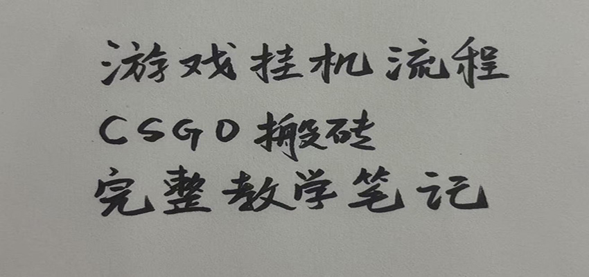 3f451571a741ffe5f65f2970a708ed91.jpeg 游戏挂机全流程笔记分享,CSGO游戏搬砖,小白看了当天学会见收益
