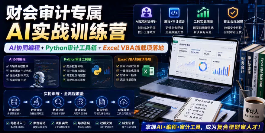 财会审计专属AI实战训练营|AI协同编程+Python审计工具箱+Excel VBA加载项落地(更新0816)祝你网--专注互联网创业.信息差副业研究拒绝割韭菜祝你网