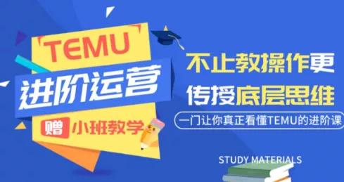 阿卡林·TEMU运营课程(基础+进阶)祝你网--专注互联网创业.信息差副业研究拒绝割韭菜祝你网