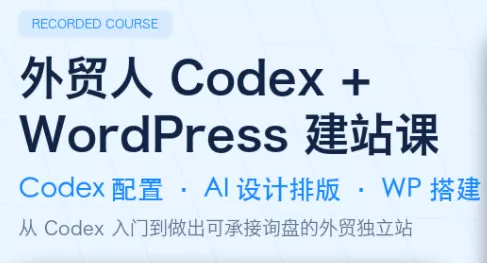 大卫·外贸人Codex + WordPress建站课(更新8月)祝你网--专注互联网创业.信息差副业研究拒绝割韭菜祝你网