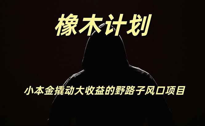 7e06faa7e2748bf3cd023ceda923f857.jpeg (19789期)橡木计划,小投入撬动高回报的风口野路子项目,一天投入2小时左右