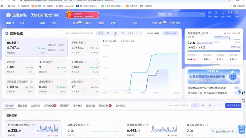 淘宝VIP特训课-更新1016：蓝海选品+付费投放｜短视频AI运营｜大促起爆全流程，破解店铺无流量无利润难题