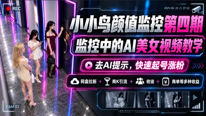 小小鸟颜值监控第四期,监控中的AI美女视频教学,去AI提示,快速起号涨粉,网盘拉新+商K引流+收徒+商单等多种收益祝你网--专注互联网创业.信息差副业研究拒绝割韭菜祝你网
