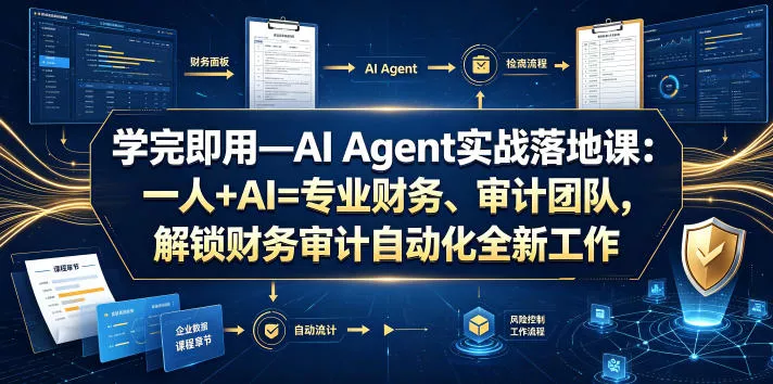学完即用—AI Agent实战落地课:一人+AI=专业财务、审计团队,解锁财务审计自动化全新工作模式(更新0818)祝你网--专注互联网创业.信息差副业研究拒绝割韭菜祝你网