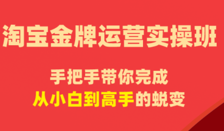 飓风电商·淘宝金牌运营实操班祝你网--专注互联网创业.信息差副业研究拒绝割韭菜祝你网
