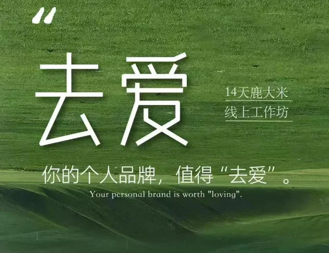 去爱14天鹿大米线上工作坊,你的个人品牌,值得“去爱”祝你网--专注互联网创业.信息差副业研究拒绝割韭菜祝你网