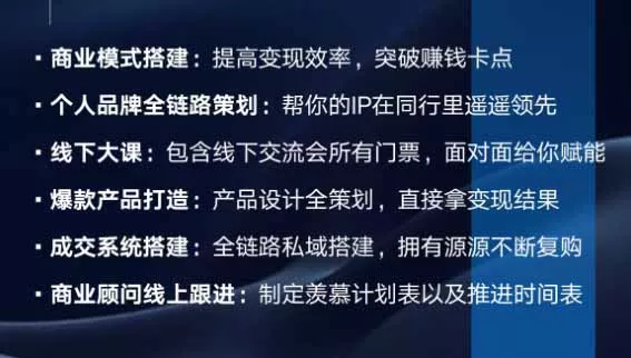 个人IP全域商业变现实战课 (无水印