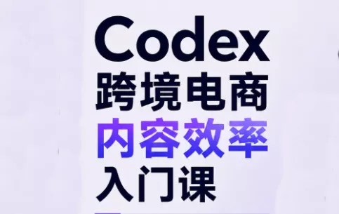 Codex跨境电商内容效率入门课祝你网--专注互联网创业.信息差副业研究拒绝割韭菜祝你网