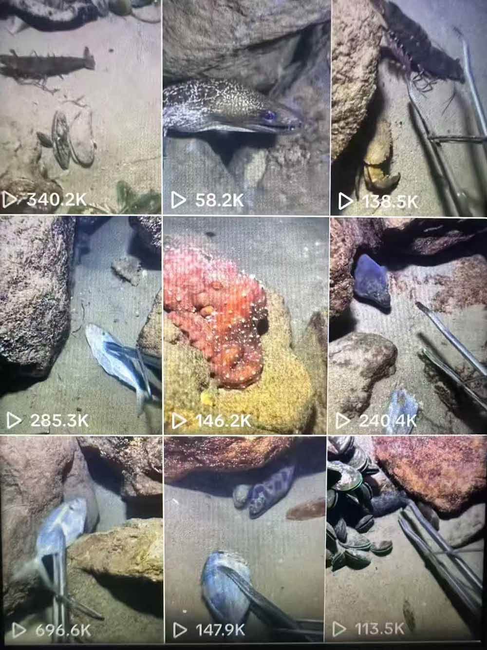 e6d94c7f46cb25758d1af584ab7bd327.jpeg (18910期)Tiktok中视频解说教程,体育+温情文案双赛道实操教程一站式带你落地