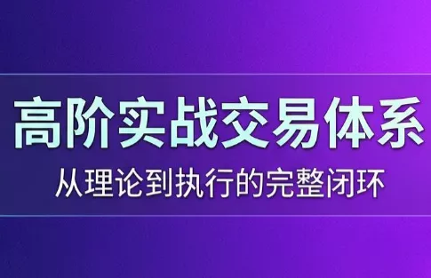 高老师·高阶实战交易体系(更新6月)祝你网--专注互联网创业.信息差副业研究拒绝割韭菜祝你网