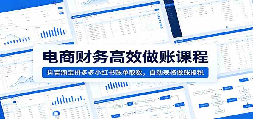 电商财务高效做账课程：抖音淘宝拼多多小红书账单取数，自动表格做账报税祝你网--专注互联网创业.信息差副业研究拒绝割韭菜祝你网